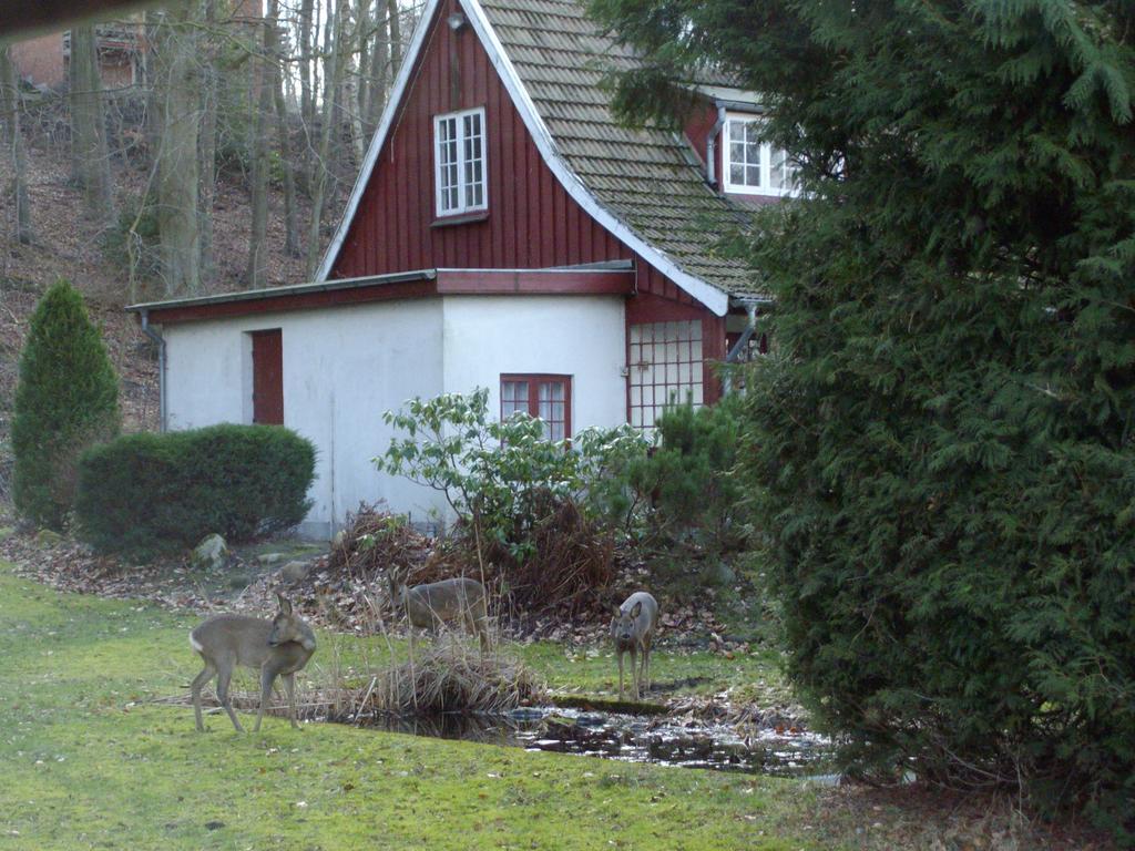 Willa Skovvej Holiday House 1 Randers Zewnętrze zdjęcie